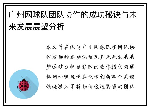 广州网球队团队协作的成功秘诀与未来发展展望分析