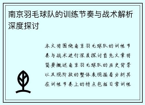 南京羽毛球队的训练节奏与战术解析深度探讨