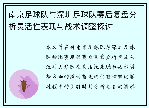 南京足球队与深圳足球队赛后复盘分析灵活性表现与战术调整探讨
