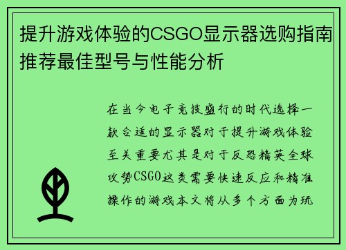 提升游戏体验的CSGO显示器选购指南推荐最佳型号与性能分析